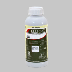 Ellic C