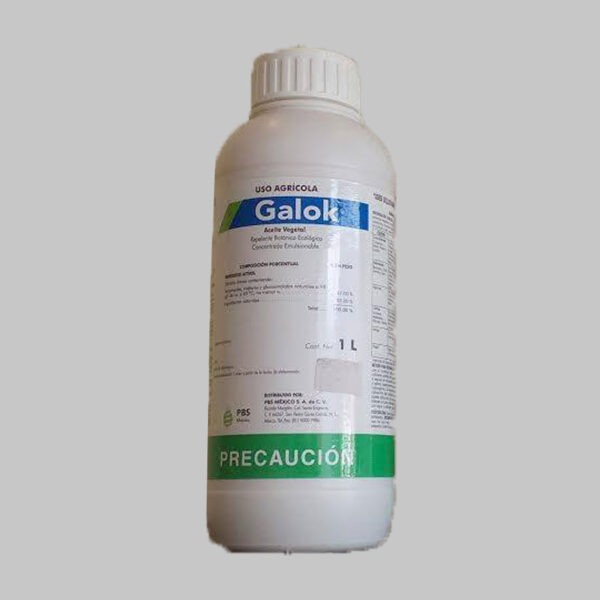 Galok
